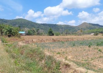 Kata Guru Besar Soal Tanah Nganggur 2 Tahun Dikuasai Negara