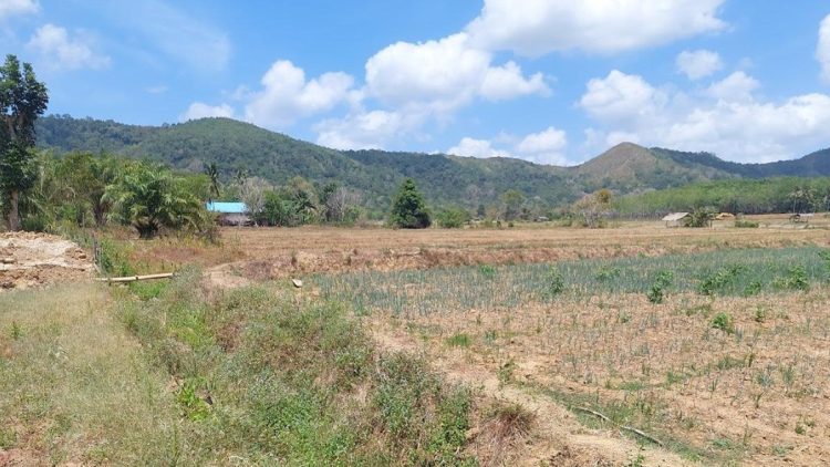 Kata Guru Besar Soal Tanah Nganggur 2 Tahun Dikuasai Negara