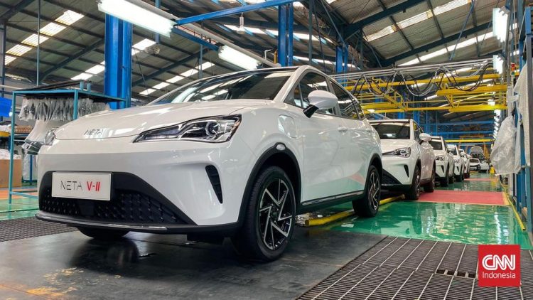 Kondisi Kesehatan Neta di Indonesia Setelah Hampir Bangkrut