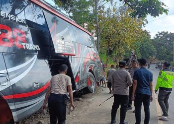 Kecelakaan Maut Bus di Bromo, Ingat Pentingnya Menggunakan Sabuk Pengaman