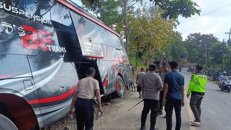 Kecelakaan Maut Bus di Bromo, Ingat Pentingnya Menggunakan Sabuk Pengaman