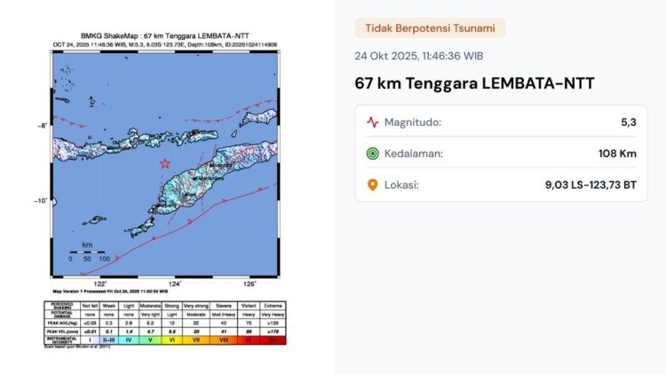 Gempa Hari Ini Jumat 24 Oktober 2025: Tiga Kali Guncangan Mengguncang Indonesia Jelang Akhir Pekan