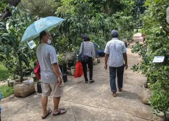 3 Berita Teratas: Pemprov DKI Jakarta Copot Sekretaris Kelurahan Petojo Selatan dan Alasannya