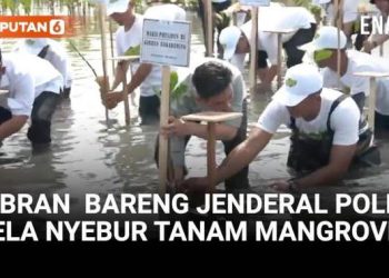 Rela Nyebur, Momen Wapres Gibran dan Jenderal Polisi Tanam Mangrove di Tangerang