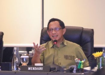 Dorong Inspektorat Daerah Awasi Program Prioritas dan TKD oleh Kemendagri