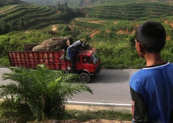 Razia Truk Pelat Aceh di Sumut Perlu Ditinjau Kembali untuk Menghindari Konflik