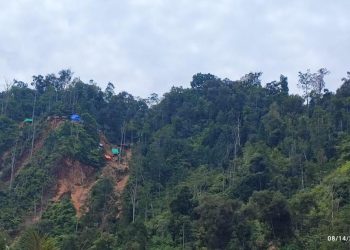 Satgas PKH Kuasai 62 Hektare Lahan di Morowali Sulteng dengan Potensi Denda Rp 2,3 Triliun