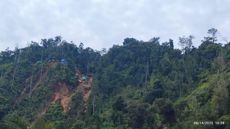 Satgas PKH Kuasai 62 Hektare Lahan di Morowali Sulteng dengan Potensi Denda Rp 2,3 Triliun