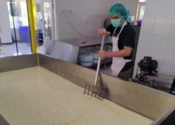 Ekonomi Kuartal III 2025 Tumbuh 5,04 Persen dan Industri Penopang yang Terlibat