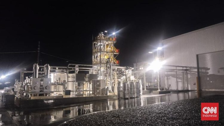 Pemerintah Dukung Jadikan RI Sebagai Basis Bioetanol di Sektor Otomotif