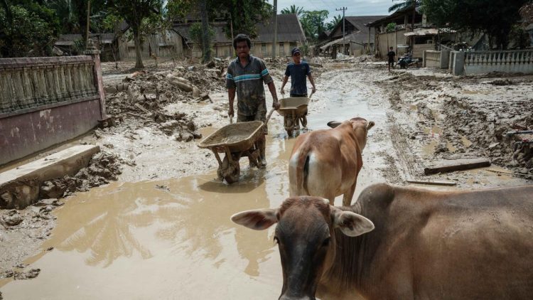 Pemkab Aceh Tamiang Usulkan Lahan untuk Hunian Sementara Korban Bencana, Kata BNPB