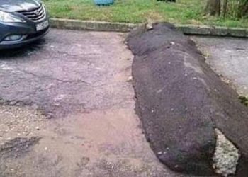 Waspadai Bahaya Kerusakan Dudukan Mesin Motor Karena Sering Melewati Polisi Tidur