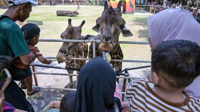 Libur Nataru, Kebun Binatang Surabaya Jadi Tujuan Utama Wisata Keluarga