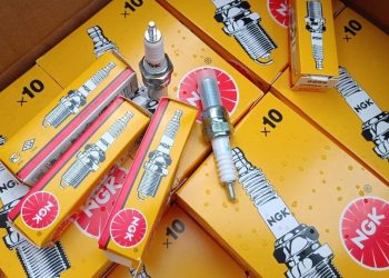 Busi Palsu yang Meresahkan dan Cara Membedakannya dari yang Asli