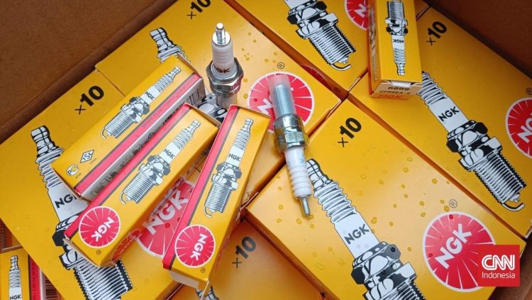 Busi Palsu yang Meresahkan dan Cara Membedakannya dari yang Asli