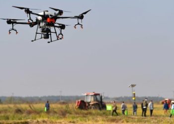 Sentuhan Digital Ubah Kebun Pir Jadi Pertanian Cerdas di Kabupaten Xi Tiongkok Utara