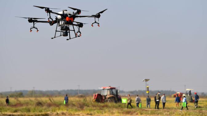 Sentuhan Digital Ubah Kebun Pir Jadi Pertanian Cerdas di Kabupaten Xi Tiongkok Utara