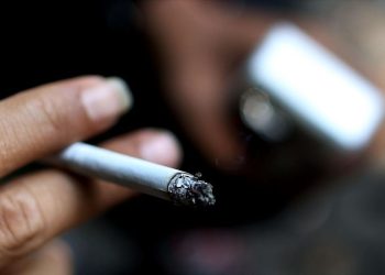 Viral Pengendara Sedan Mewah Merokok di Pelat TNI, Kemhan Beri Klarifikasi