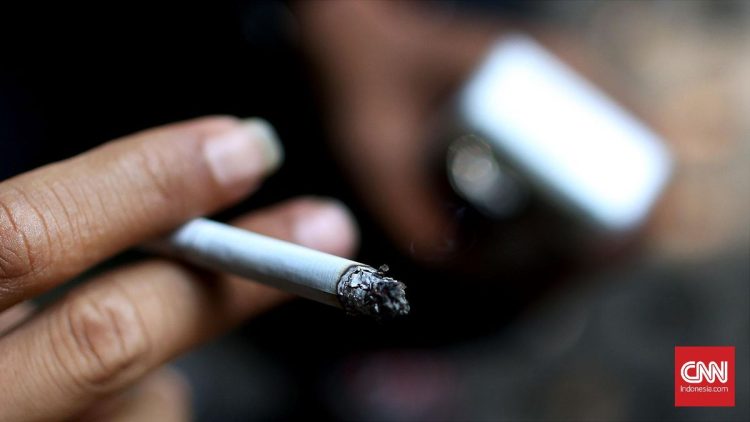 Viral Pengendara Sedan Mewah Merokok di Pelat TNI, Kemhan Beri Klarifikasi