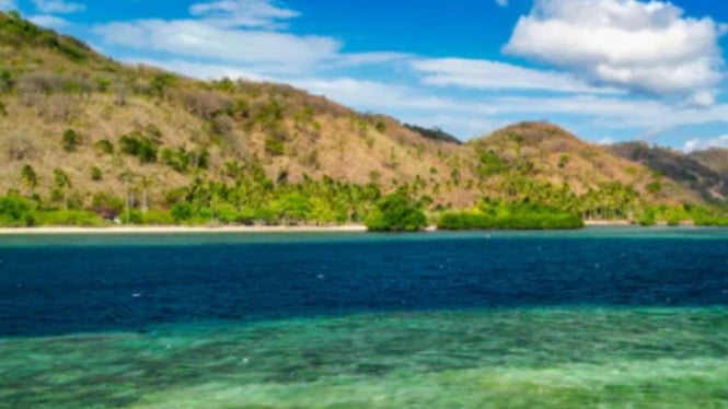 Paket Wisata Trip Pulau Komodo dari Lombok