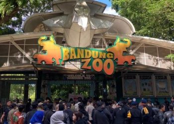 Kemenhut Cabut Izin dan Ambil Alih Perawatan Satwa Kebun Binatang Bandung